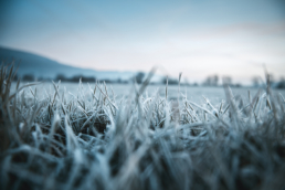 Bodenfrost