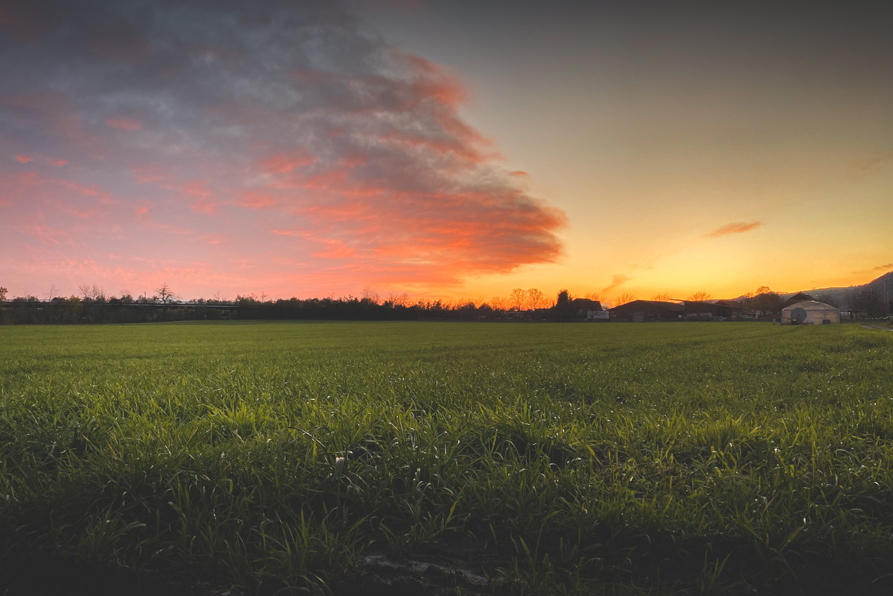Mit dem iPhone einen Sonnenuntergang fotografieren